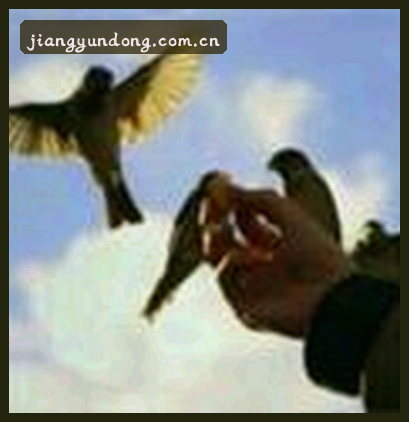 孙悦